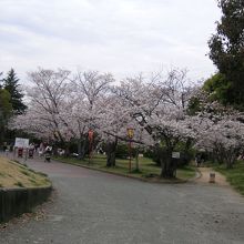 北東側の入り口