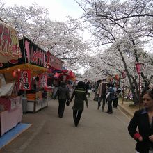 桜のトンネルの中央部で屋台も賑わう。