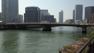 蛸の松があります!!