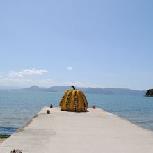 黄色のかぼちゃ