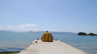 黄色のかぼちゃ☆