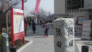 隅田川沿いの公園で開催される