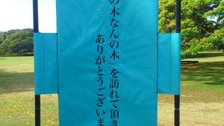 この木なんの木