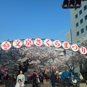 桜祭り