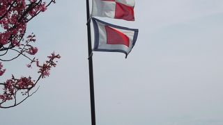 コクリコ坂から・・知らないお方でも・・