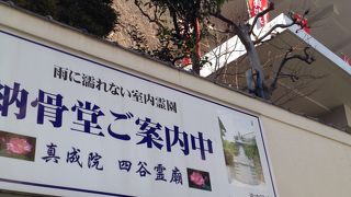 墓地広告が目立つ…