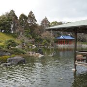 市制100周年を記念し造られた2.6haの庭園