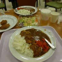 サラダとヒレカツを買ってきて、カツカレー＆サラダにしました。