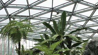 癒しのスポット