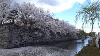 徳島中央公園