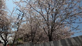 今シーズンはこの日が最後という感じでした。