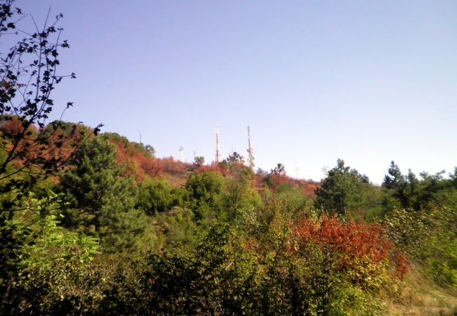 アルバナシテレビ塔