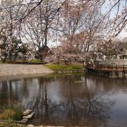 桜と池の素敵な明るい公園