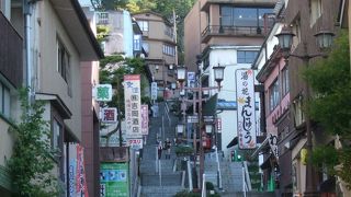 頂上の伊香保神社まで登ると、伊香保の街と赤城山系を見晴らせます