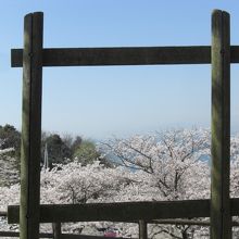 アスレチックにある額縁状の柵