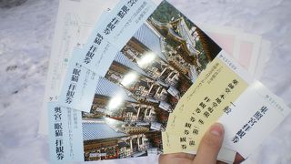 雪の中の東照宮