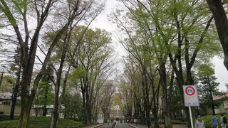 「新東京百景」や「残したい日本の音風景100選」にも選ばれています