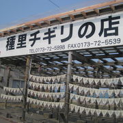 アツアツの焼きイカが食べられます