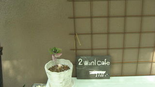 高島ワニカフェ