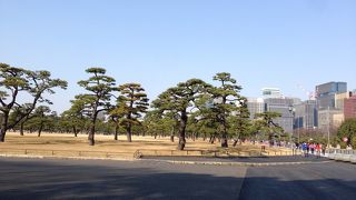 広々とした公園