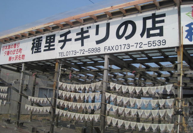 アツアツの焼きイカが食べられます