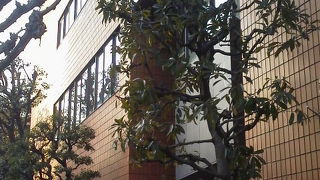 裏には東京タワースポットとして有名な公園も「みなと図書館」～芝公園～