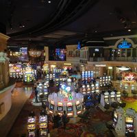 無料のライブショーも有る