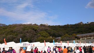 現存する江戸期のお城です