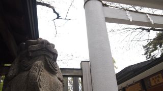 それほど大きくはないけれど威風のある神社