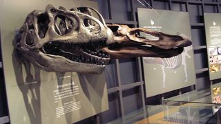 　思ったよりいいです