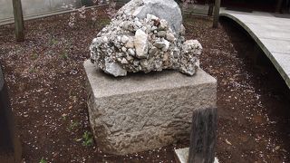 乃木神社の境内にあります