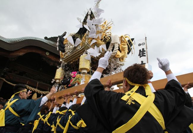 播州三大祭　北条節句祭　豪華絢爛、そして勇壮な屋台の奉納が見ものです！