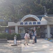 この水族館は、桂浜の海岸線を見ながら散歩した後、子供たちの為に、動物たちを見せに、連れていく事をお勧めします。
