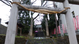 鳥居がたくさんありました