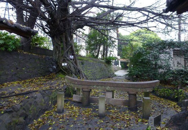 黒神埋没鳥居 クチコミ アクセス 営業時間 桜島 古里温泉 フォートラベル 黒神埋没鳥居 クチコミ アクセス 営業時間 桜島 古里温泉 フォートラベル