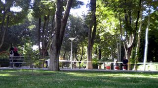 乾燥気候の中、緑の森と芝生に恵まれた公園はイラン滞在（約１ヶ月）の疲れを十分癒してくれます。