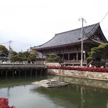 右前方からの眺め