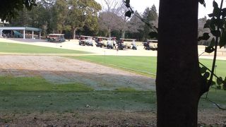 パブリックの名門