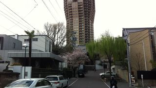 柳の井戸など見所が豊富