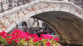 何度行っても違う楽しみ