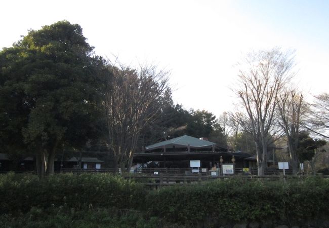 神奈川県の動物園 クチコミ人気ランキングtop17 フォートラベル 神奈川県の動物園 クチコミ人気ランキングtop17 フォートラベル