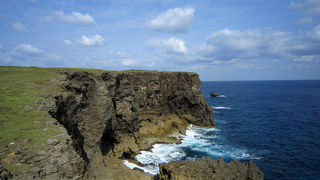 馬や牛が放牧されている草原。