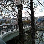 桜ノ宮駅近くの桜に包まれた橋