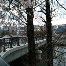 桜並木の中に架かっているようにも見える橋です。