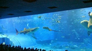 那覇空港14時発、美ら海クイックライナーは便利です