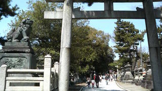 入口の古めかしい石鳥居の他、京都三珍鳥居も