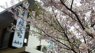 桜の季節には、やっぱり長命寺の桜もち