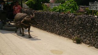 ゆっくりとのんびりと