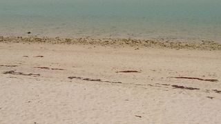 遠浅で美しい海岸