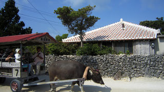 駐輪は決まった場所に。